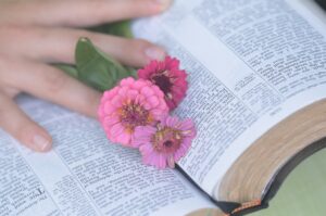 Connect bible, flower background, flower wallpaper, flowers, hand, woman, christian, beautiful flowers, blue bible, bible, bible, bible, bible, nature, bible